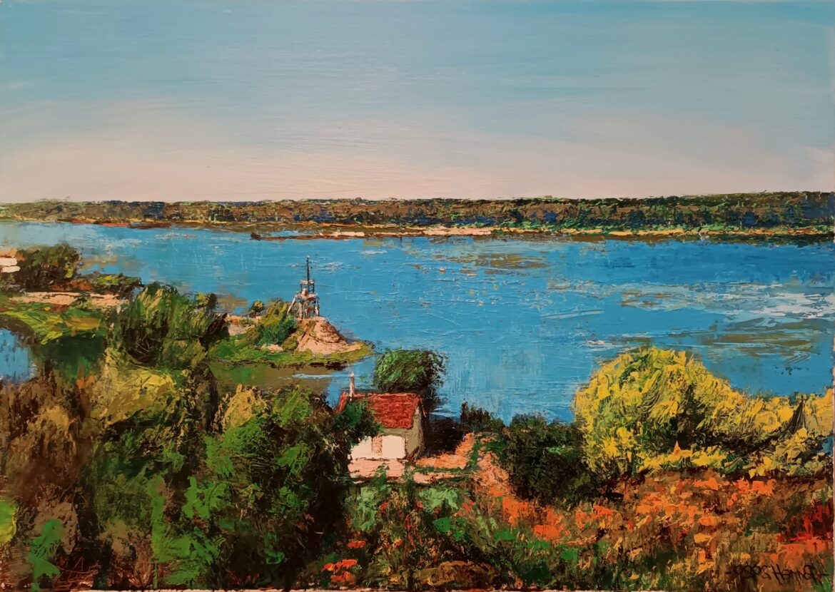Пейзаж на Дунава край Русе
